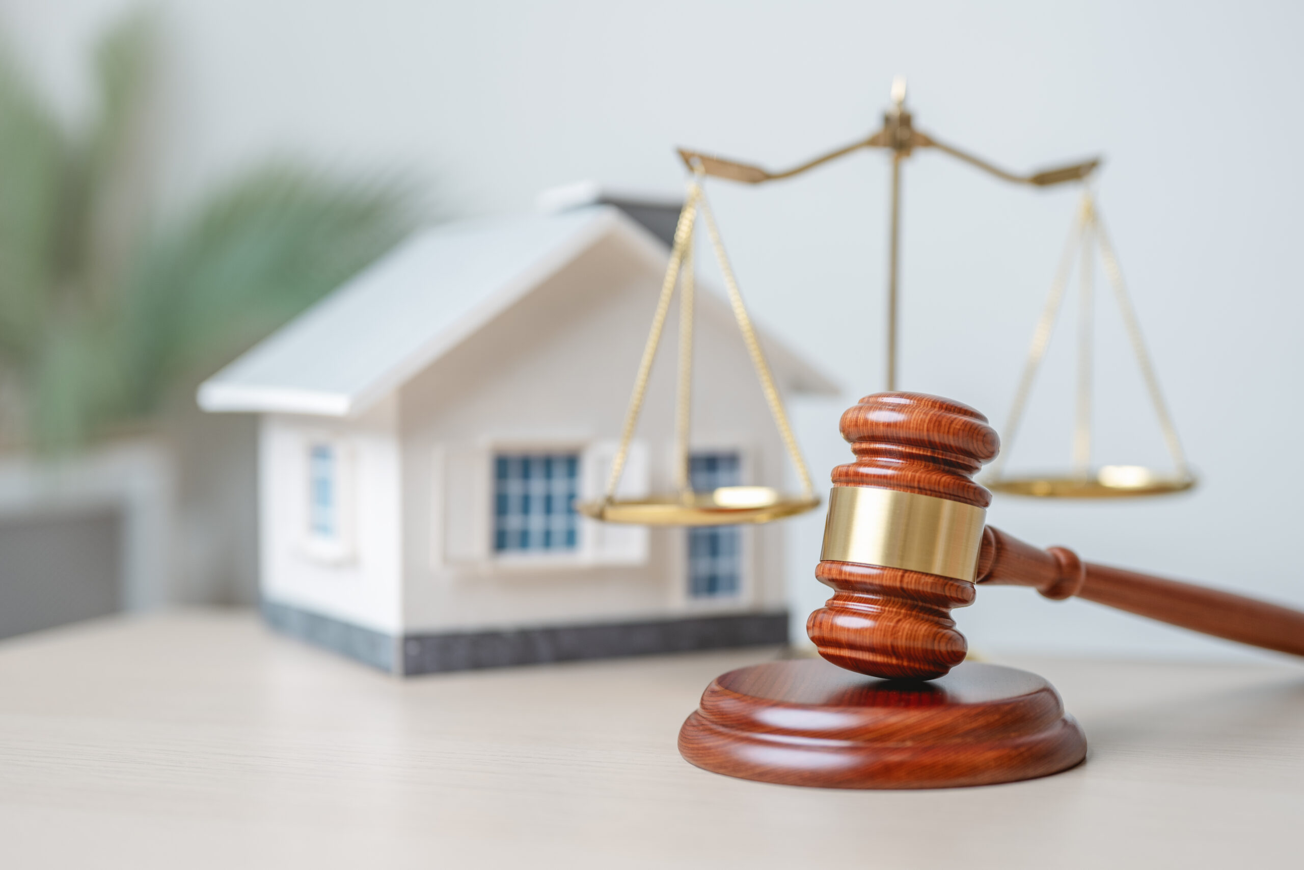 Intellectual Property Rights Attorney