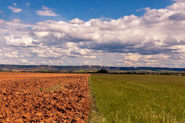 Land Use Conversion India: How to Convert Agricultural Land to Non Agricultural