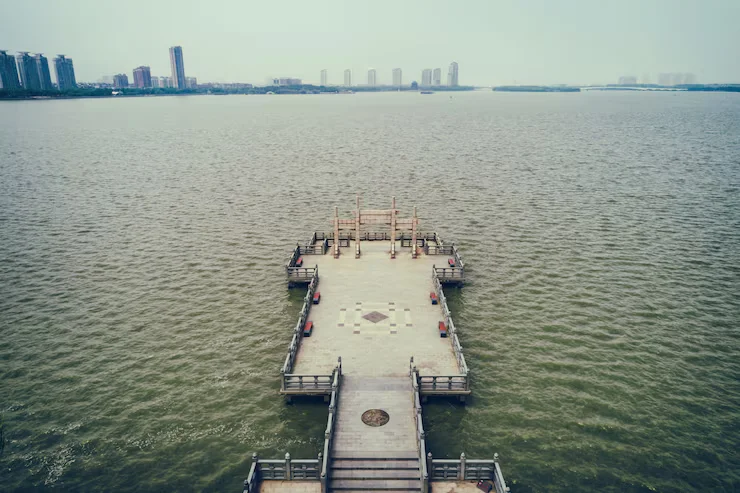 Safe Harbour Rules India: What Budget 2026 Changed for IT Services, Data Centres, and the Automated Regime